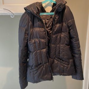 Black Puffy Style Black Winter Coat BCBGMaxazaria Overstated Hood